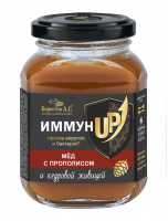 Мед Берестов А.С. ИммунUP 200г с прополисом и кедровой живицей натур цветочный полифлорный 1*6
