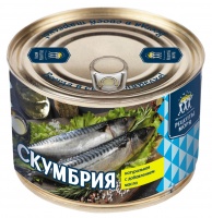 Скумбрия РЕЦЕПТЫ МОРЯ 240г атлантическая НДМ №5 ключ 1*24