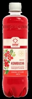 Напиток KOMBUCHA-ENERGY 0,555л на чайном грибе с соком ягод клюквы, брусники и свежей мяты пл/б 1*12