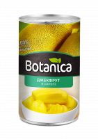 Джекфрут BOTANICA 565 г в сиропе ж/б 1*24
