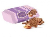 Печенье сахарное DONCO PREMIUM BISCUIT 150г яблоко корица 1*16