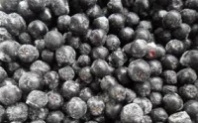 Рябина черноплодная замороженная 1*13